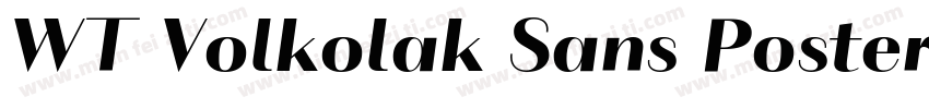 WT Volkolak Sans Poster Regular字体转换